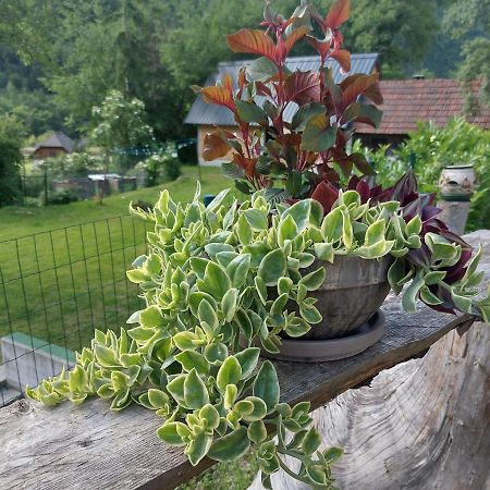 Apartmaji Katrc Soča エクステリア 写真