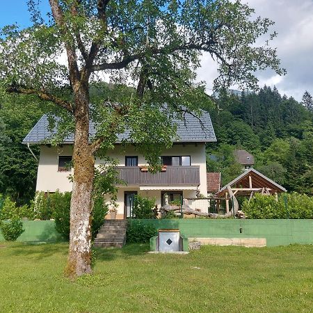 Apartmaji Katrc Soča エクステリア 写真