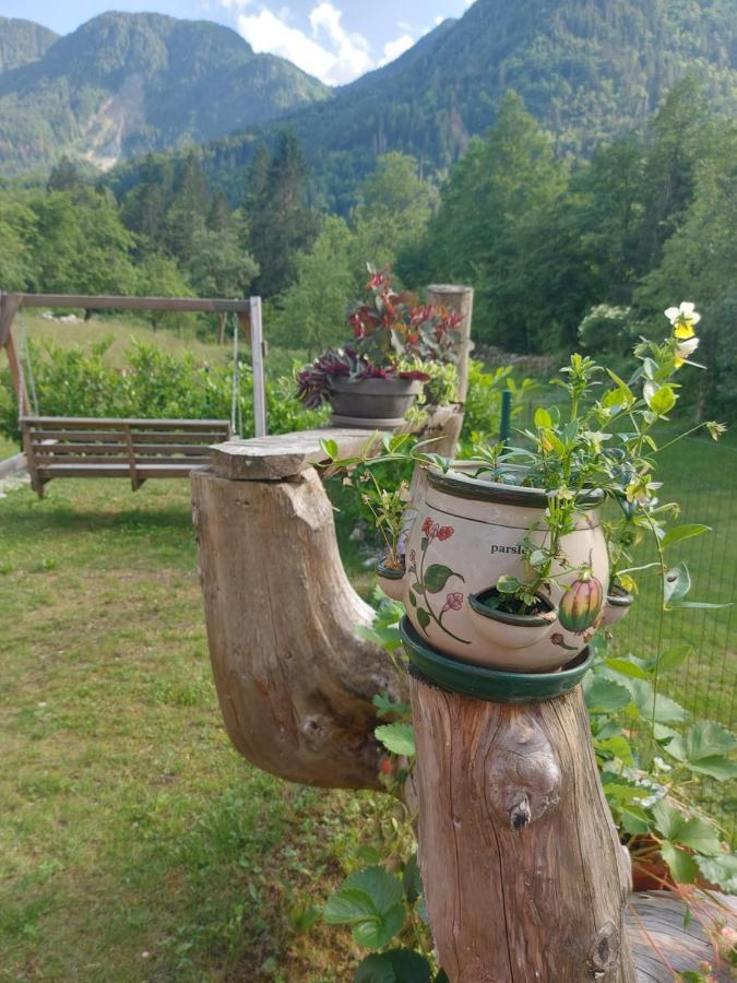 Apartmaji Katrc Soča エクステリア 写真