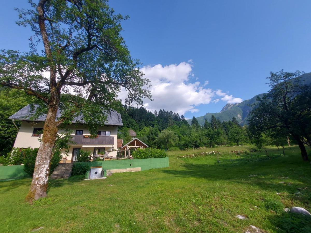 Apartmaji Katrc Soča エクステリア 写真