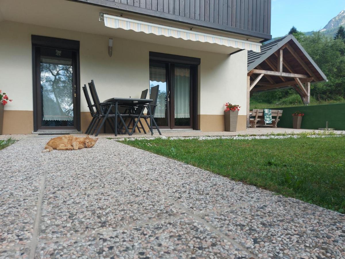Apartmaji Katrc Soča エクステリア 写真