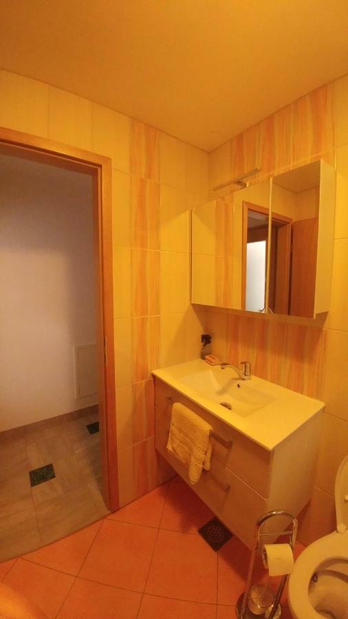 Apartmaji Katrc Soča エクステリア 写真