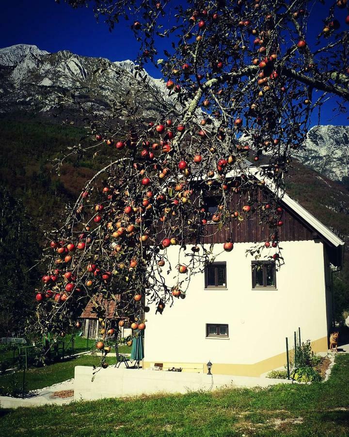 Apartmaji Katrc Soča エクステリア 写真