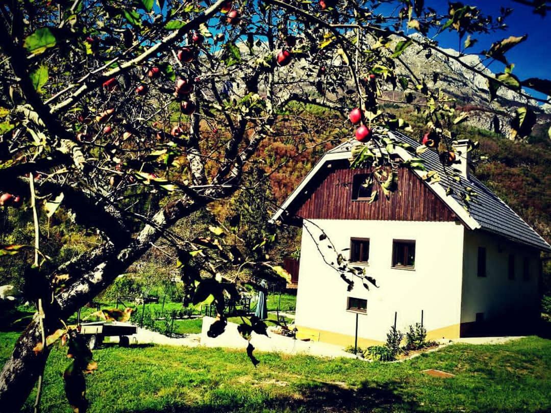 Apartmaji Katrc Soča エクステリア 写真