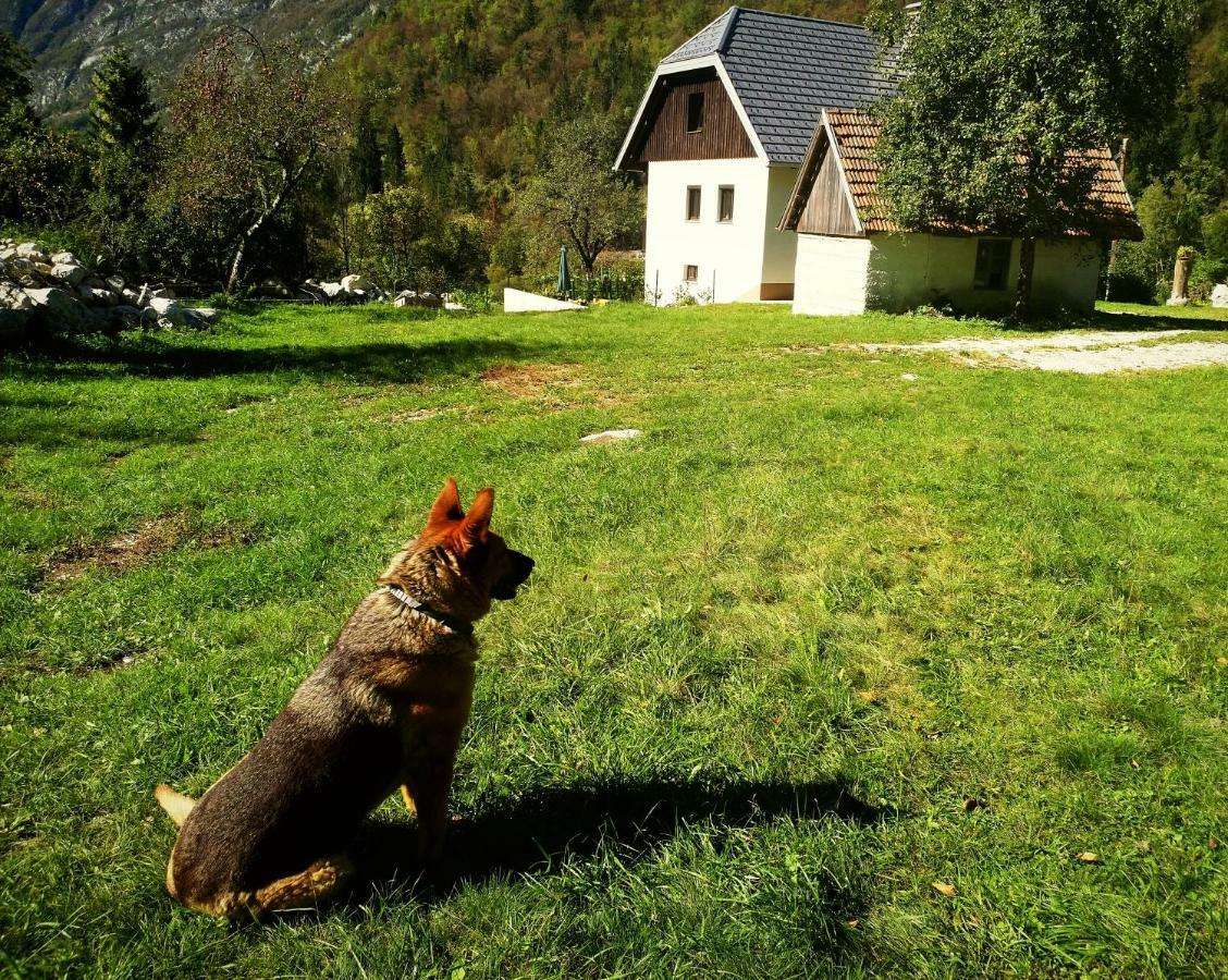 Apartmaji Katrc Soča エクステリア 写真